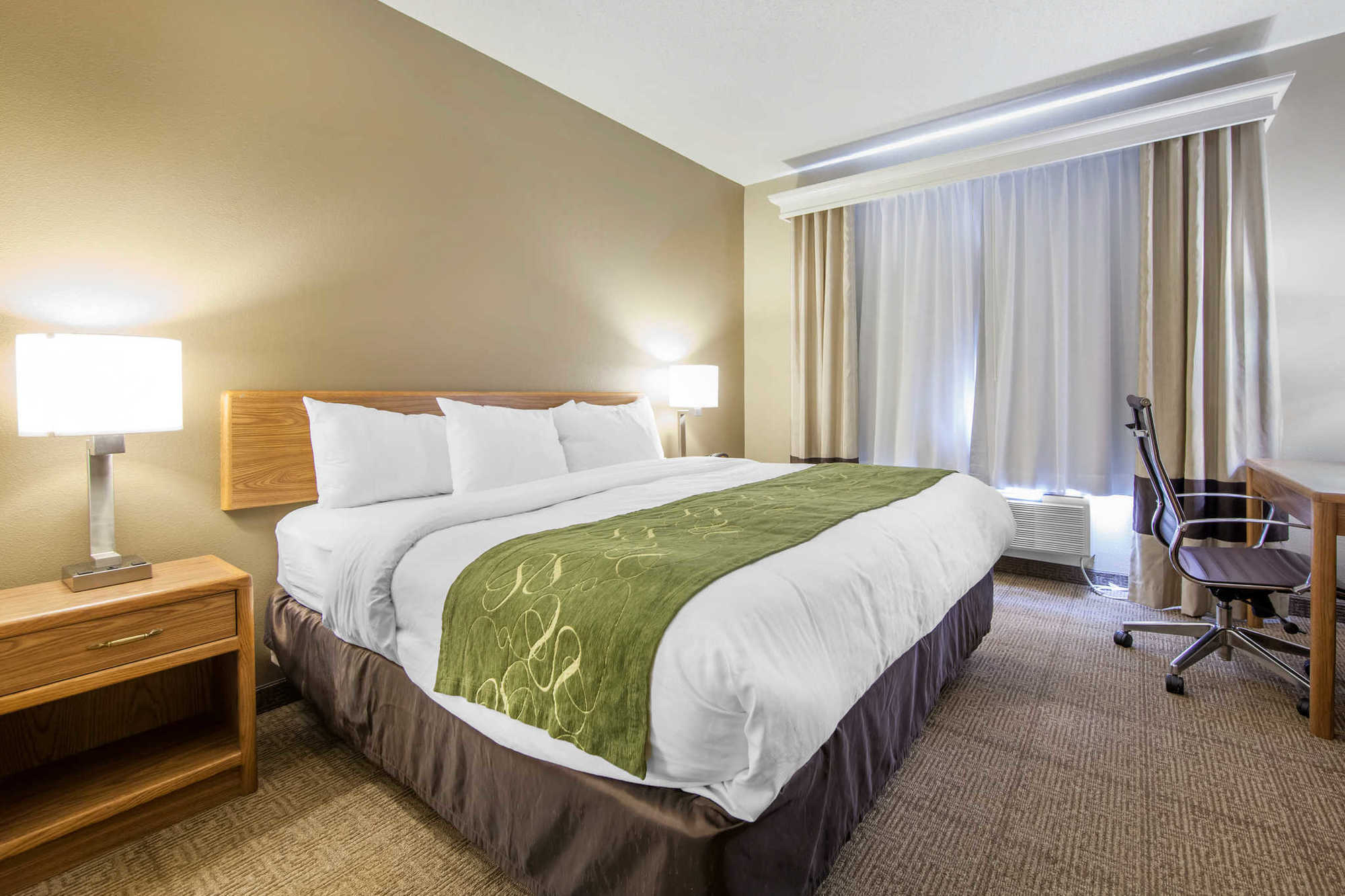Comfort Suites Keeneland Lexington Quarto foto